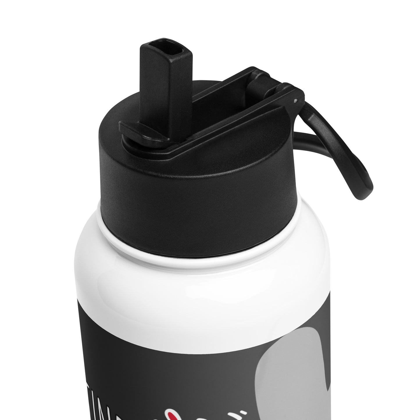 Palestine Stainless steel water bottle with a straw lid