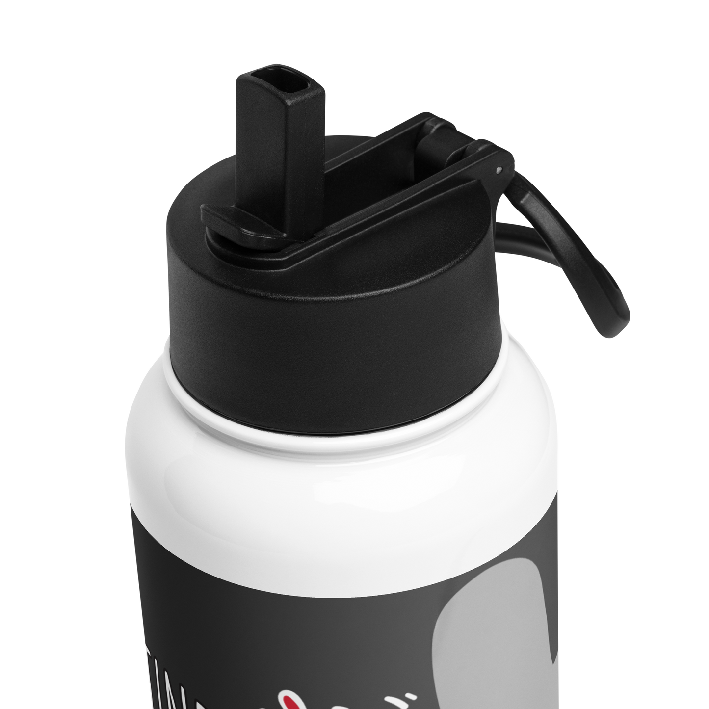 Palestine Stainless steel water bottle with a straw lid